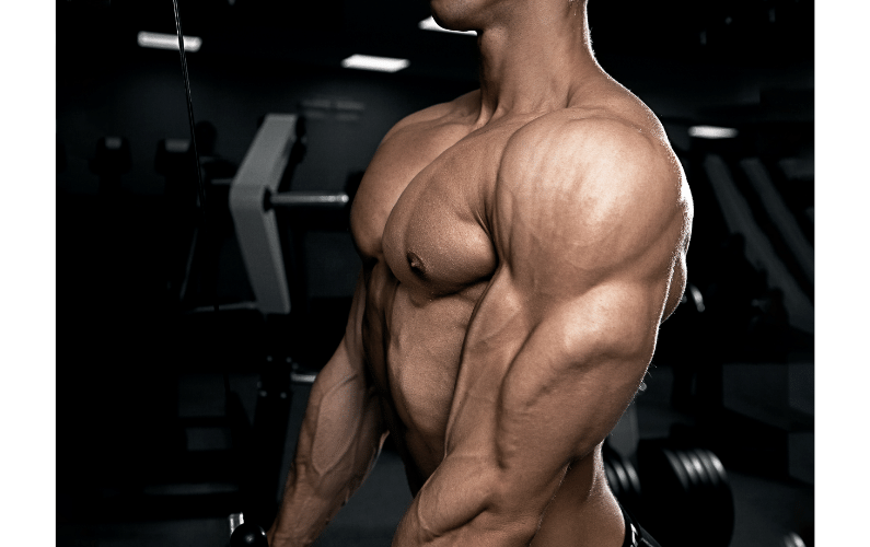 THE 4 BEST DUMBBELL EXERCISES FOR TRICEPS